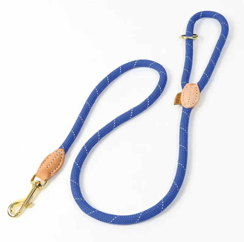 Shires Digby and Fox Reflective Dog Lead - Royal Blue - One size - Unboxed
