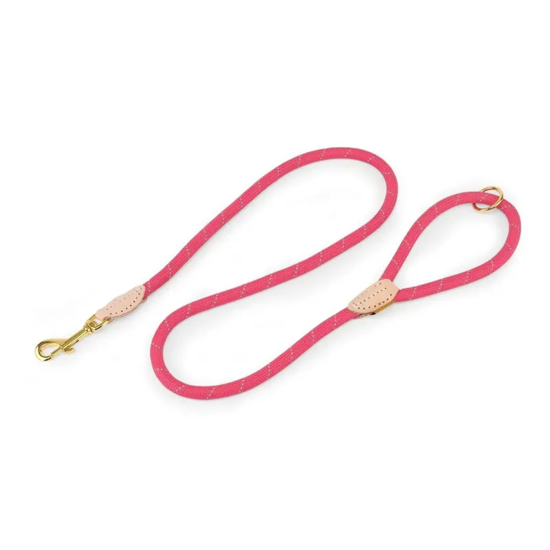 Shires Digby and Fox Reflective Dog Lead - Pink