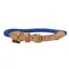 Shires Digby and Fox Reflective Dog Collar - Royal Blue