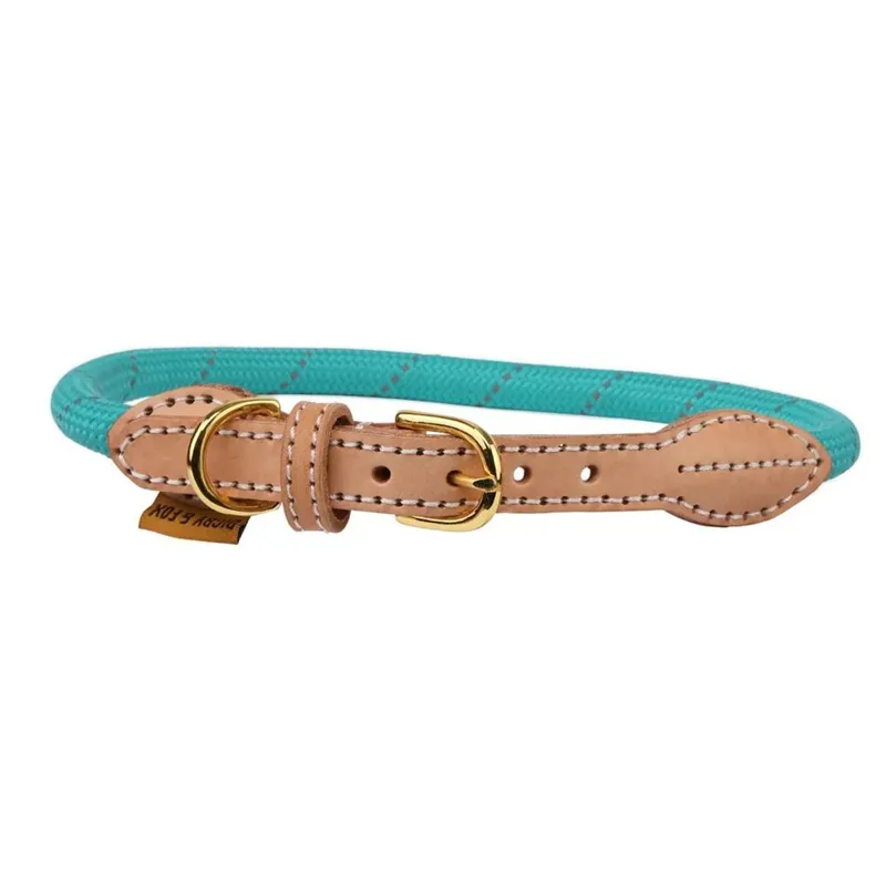 Shires Digby and Fox Reflective Dog Collar - Teal