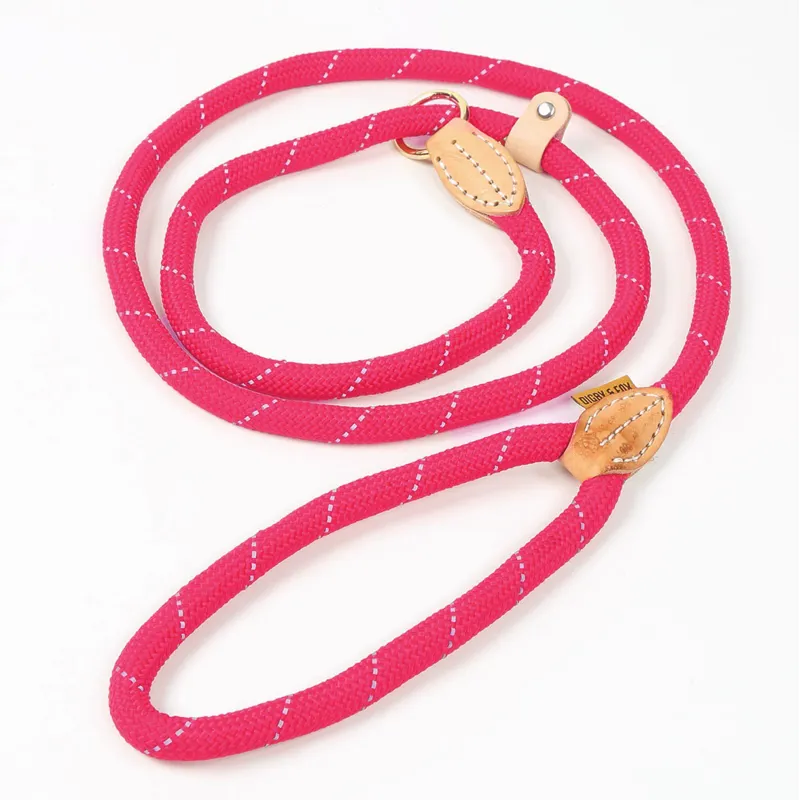 Shires Digby and Fox Reflective Slip Dog Lead - Pink