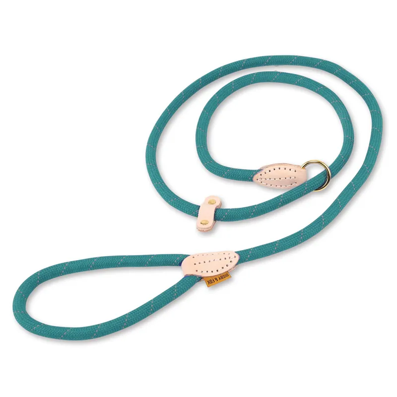 Shires Digby and Fox Reflective Slip Dog Lead - Teal