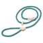 Shires Digby and Fox Reflective Slip Dog Lead - Teal