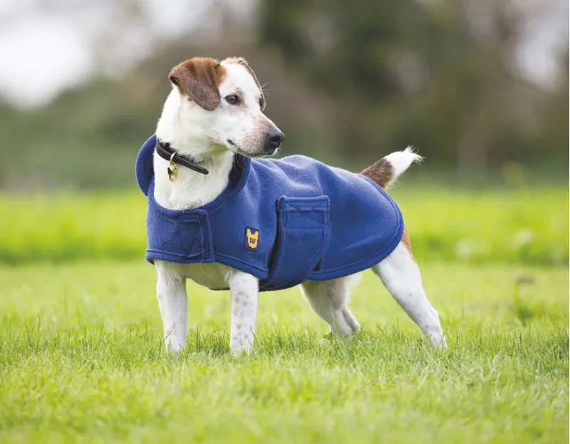 Shires Digby and Fox Dog Towel Coat - Navy