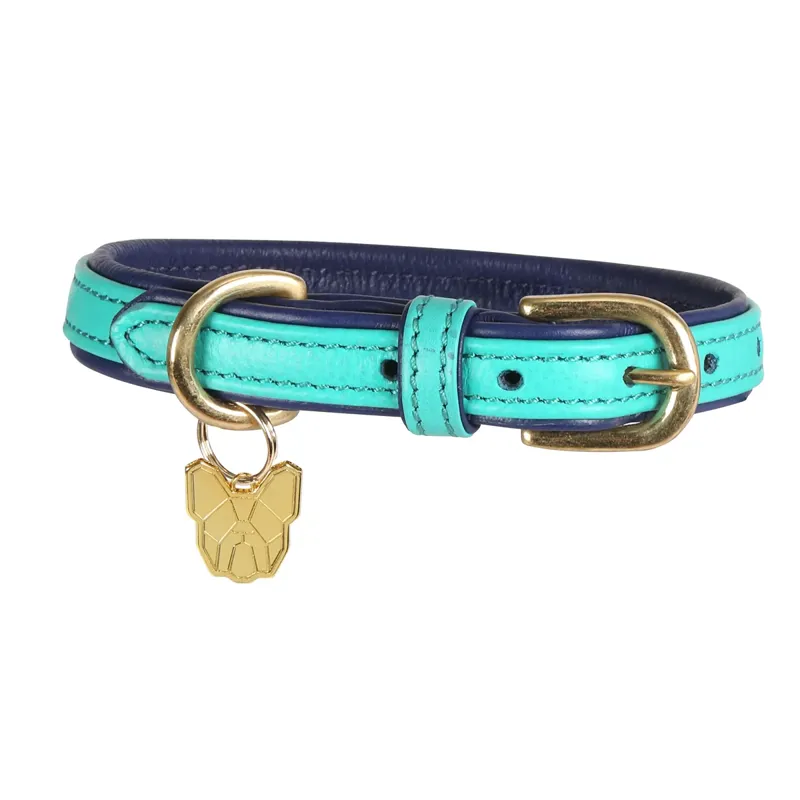 Shires Digby and Fox Padded Leather Dog Collar - Aqua