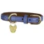 Shires Digby and Fox Padded Leather Dog Collar - Royal Blue
