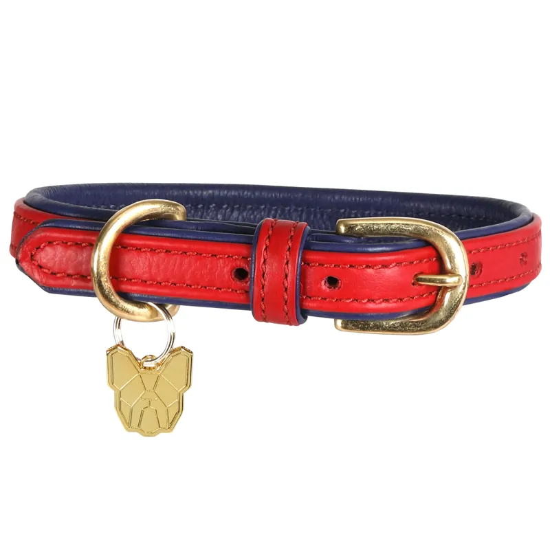 Shires Digby and Fox Padded Leather Dog Collar - Scarlett