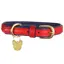 Shires Digby and Fox Padded Leather Dog Collar - Scarlett