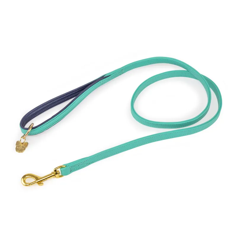 Shires Digby and Fox Padded Leather Dog Lead - Aqua