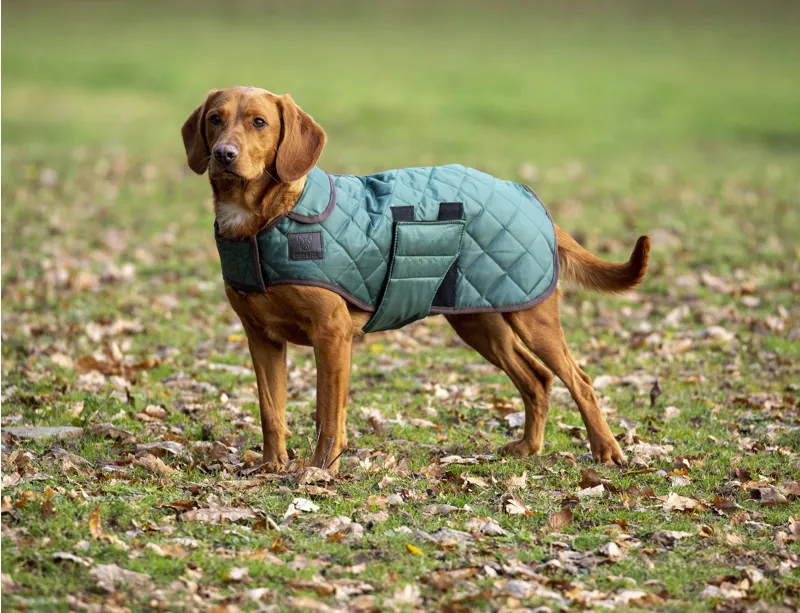 Shires Digby and Fox Heritage Dog Coat - Forest-1