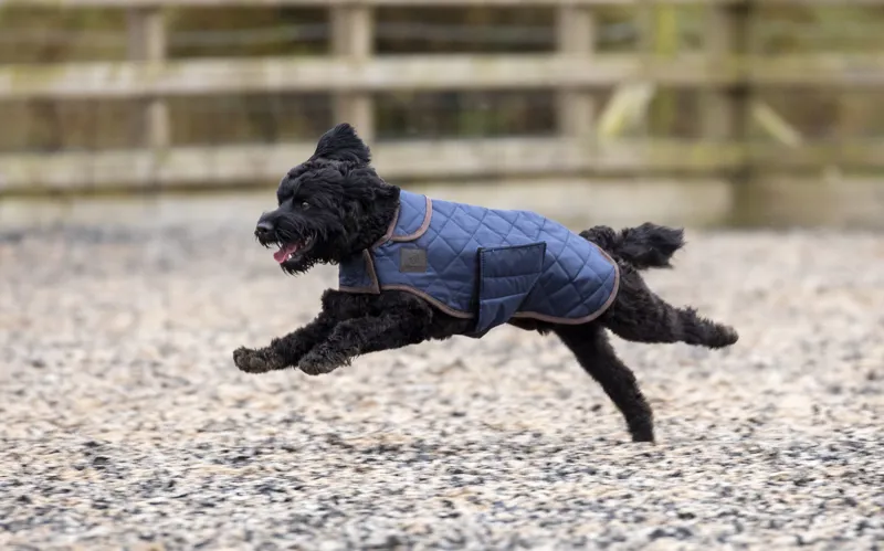 Shires Digby and Fox Heritage Dog Coat - Indigo-1