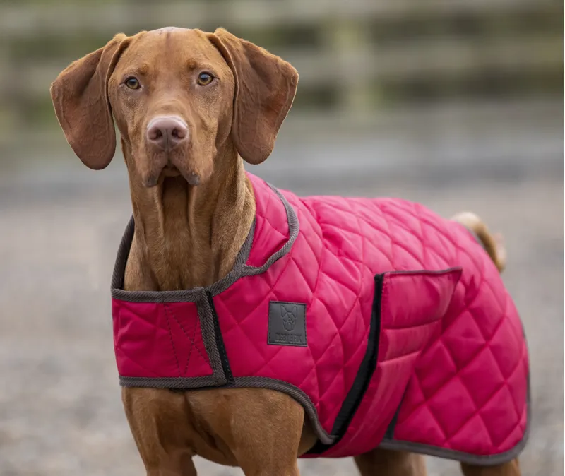 Shires Digby and Fox Heritage Dog Coat - Red-2