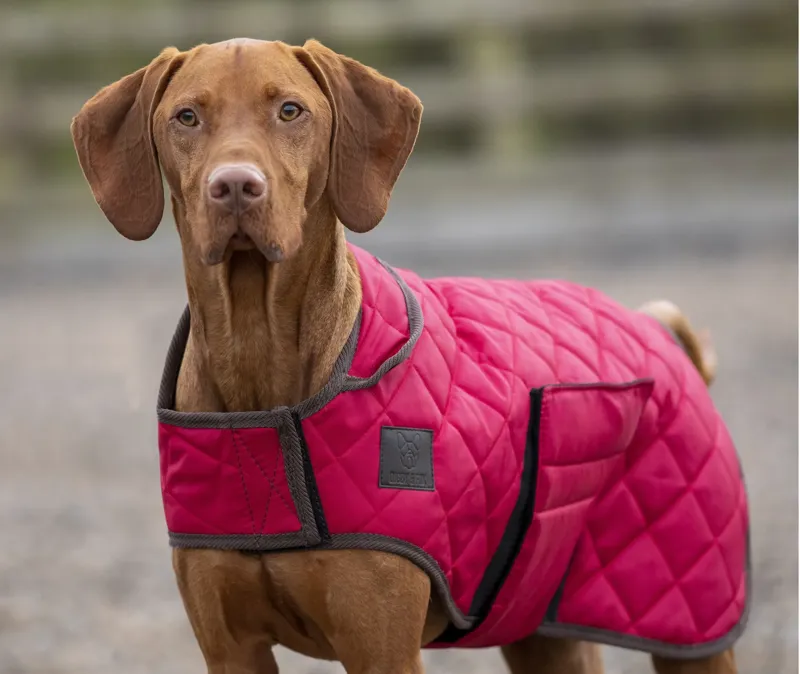 Shires Digby and Fox Heritage Dog Coat - Red - XXS - Unboxed-2