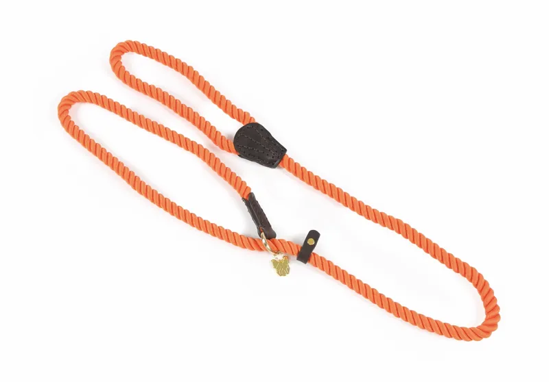 Shires Digby and Fox Rope Slip Dog Lead - Orange