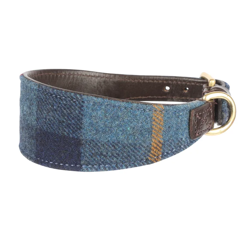 Shires Digby and Fox Tweed Greyhound Collar - Navy-1