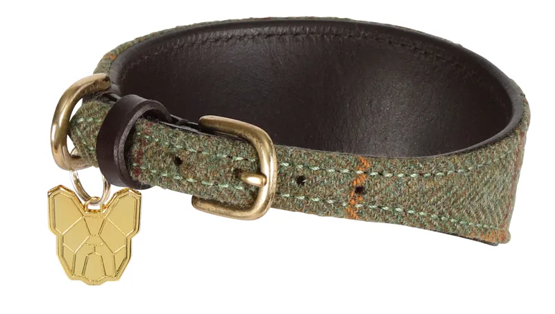 Shires Digby and Fox Tweed Greyhound Collar - Red/Yellow/Blue Check-1