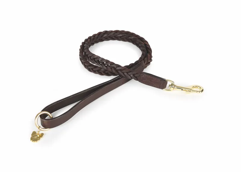Shires Digby and Fox Plaited Dog Lead - Brown