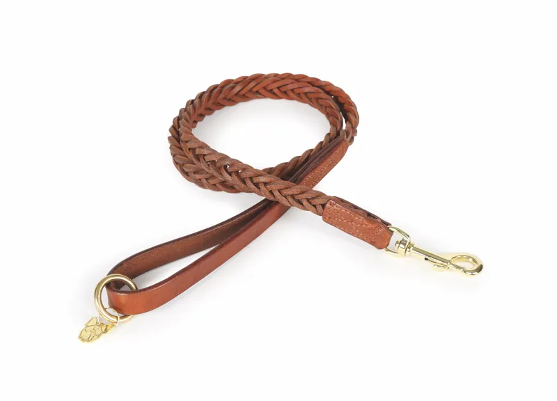 Shires Digby and Fox Plaited Dog Lead - Tan