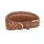 Shires Digby and Fox Padded Greyhound Collar - Tan
