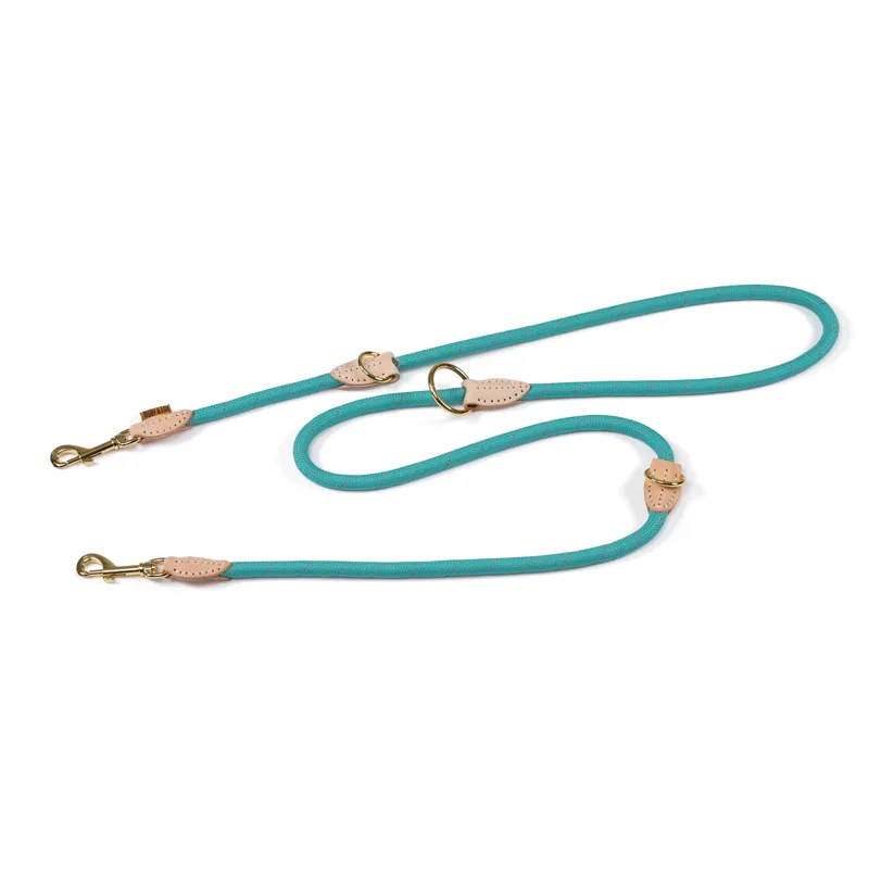 Shires Digby and Fox Reflective Training Lead - Teal
