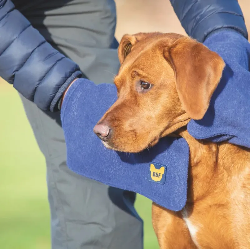 Shires Digby and Fox Dog Towel Glove - Navy