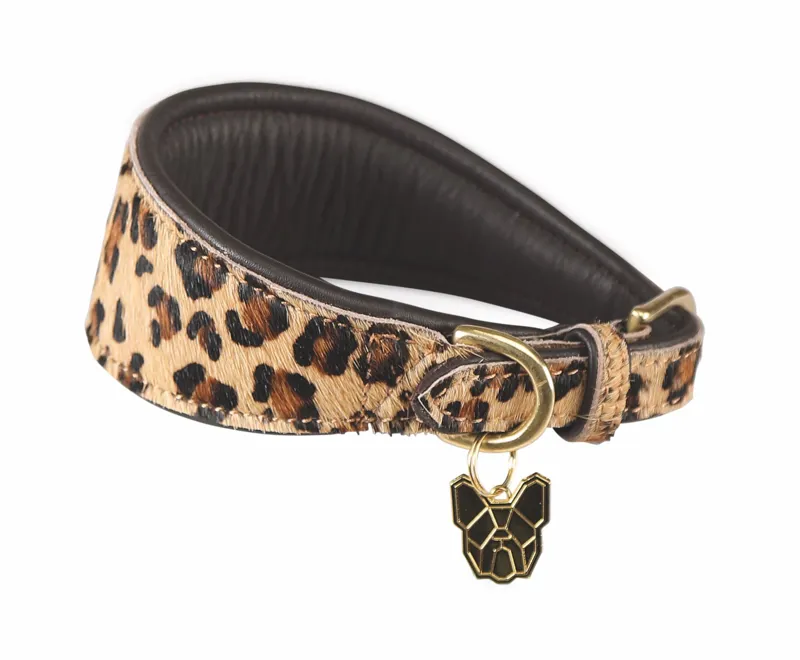 Shires Digby and Fox Cow Hair Greyhound Collar - Leopard