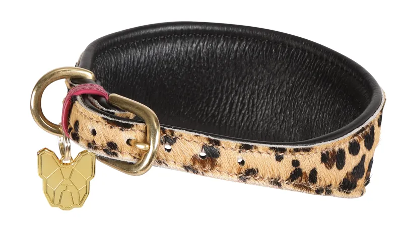 Shires Digby and Fox Cow Hair Greyhound Collar - Leopard-1