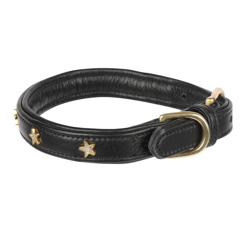 Shires Digby and Fox Star Dog Collar - Black-1