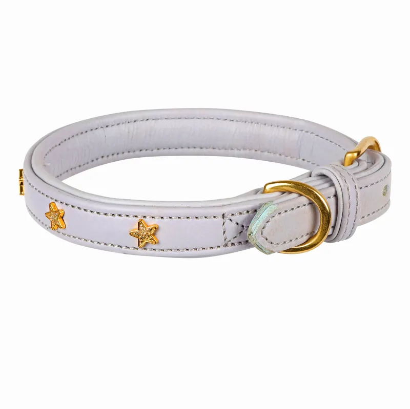 Shires Digby and Fox Star Dog Collar - Lilac-1