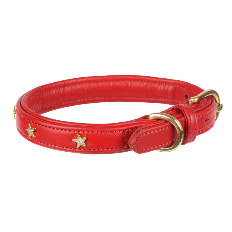 Shires Digby and Fox Star Dog Collar - Scarlett-1