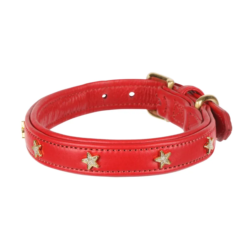 Shires Digby and Fox Star Dog Collar - Scarlett