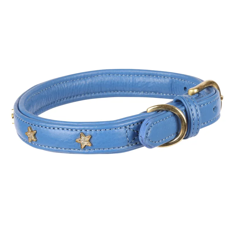 Shires Digby and Fox Star Dog Collar - Royal-1