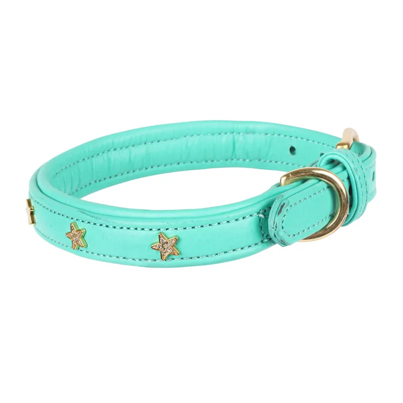 Shires Digby and Fox Star Dog Collar - Teal-1
