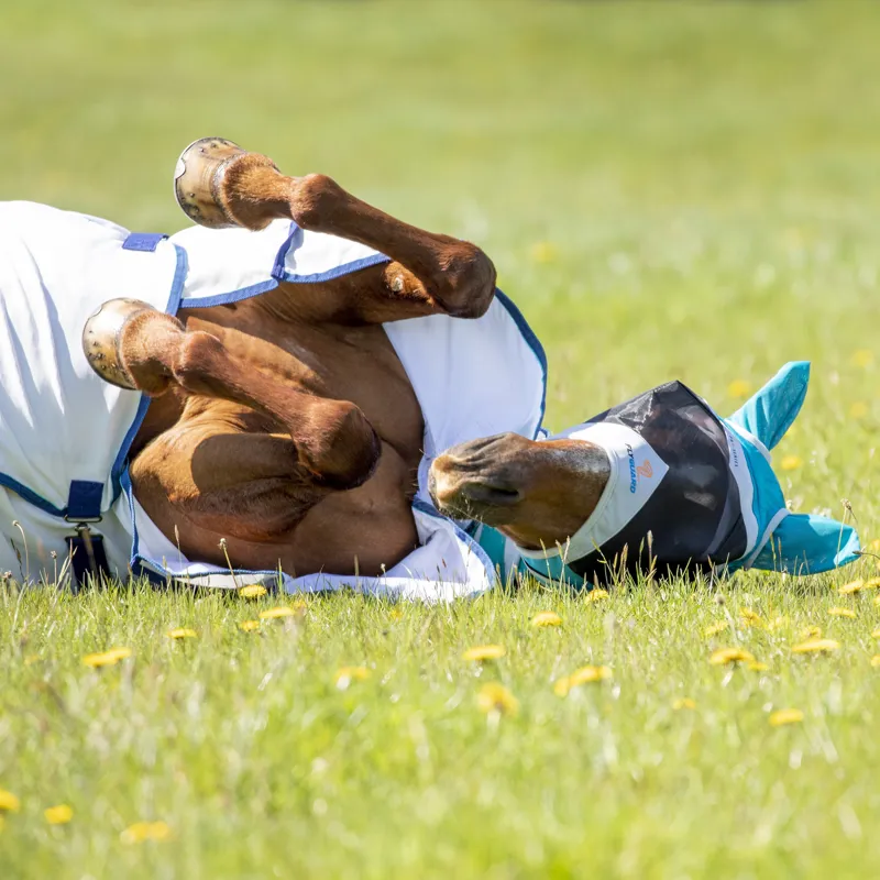 Shires FlyGuard Pro Fine Mesh Fly Mask with Ears - Teal-2