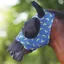 Shires Fruit Print Stretch Fly Mask with Nose - Banana