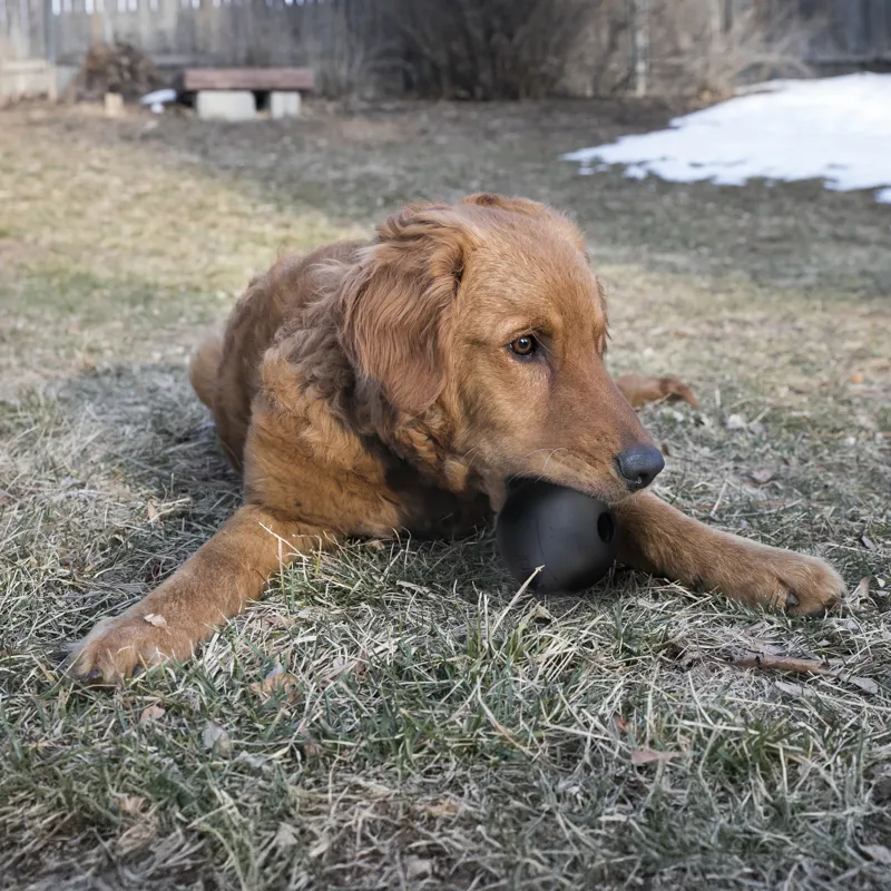 KONG Extreme Ball With Hole -5