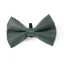 Shires Digby and Fox Bow Tie - Forest