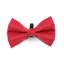Shires Digby and Fox Bow Tie - Red