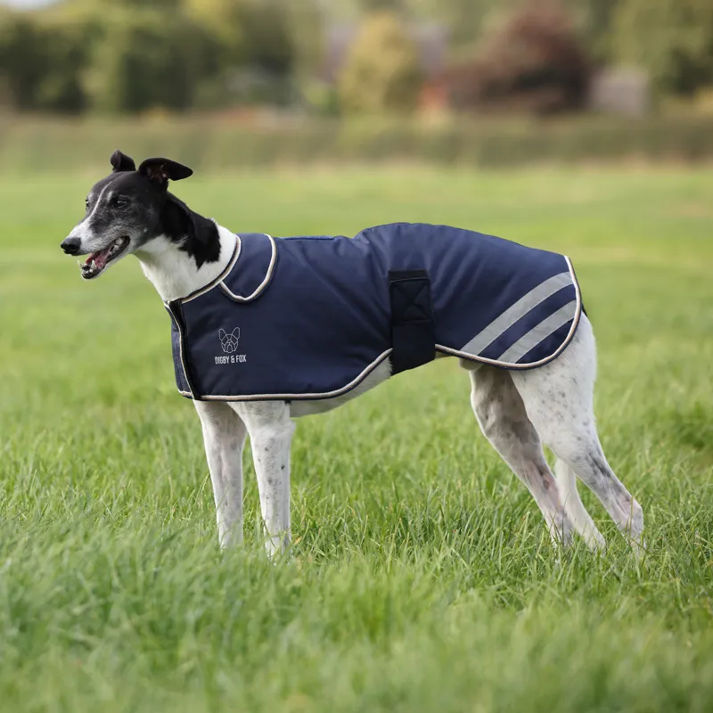 Shires Digby and Fox Waterproof Greyhound Coat - Navy