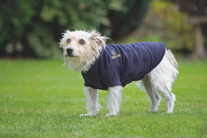 Shires Digby and Fox Fleece Dog Jumper - Navy