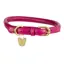 Shires Digby and Fox Rolled Leather Dog Collar - Pink