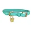 Shires Digby and Fox Rolled Leather Dog Collar - Teal