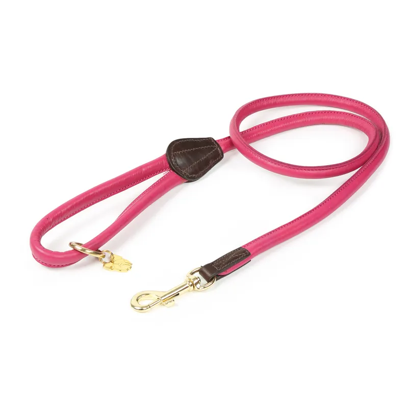 Shires Digby and Fox Rolled Leather Dog Lead - Pink