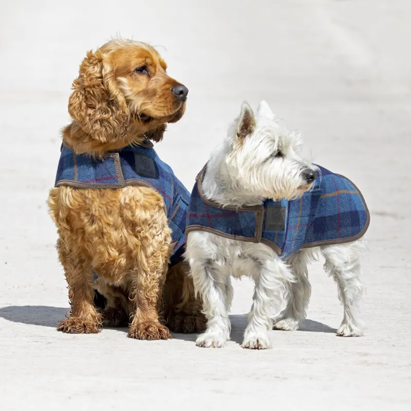 Shires Digby and Fox Tweed Dog Coat - Navy-2