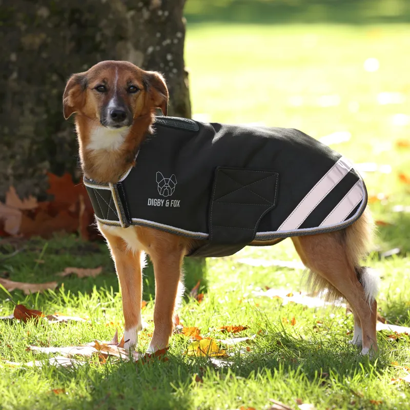 Shires Digby and Fox Waterproof Dog Coat - Green-8