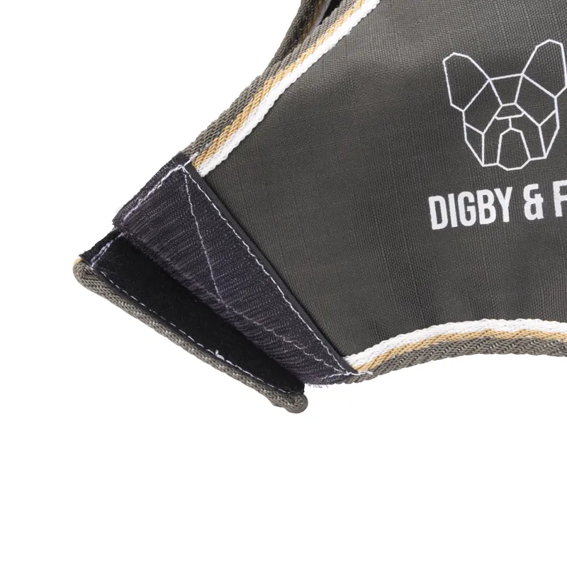 Shires Digby and Fox Waterproof Dog Coat - Green-2