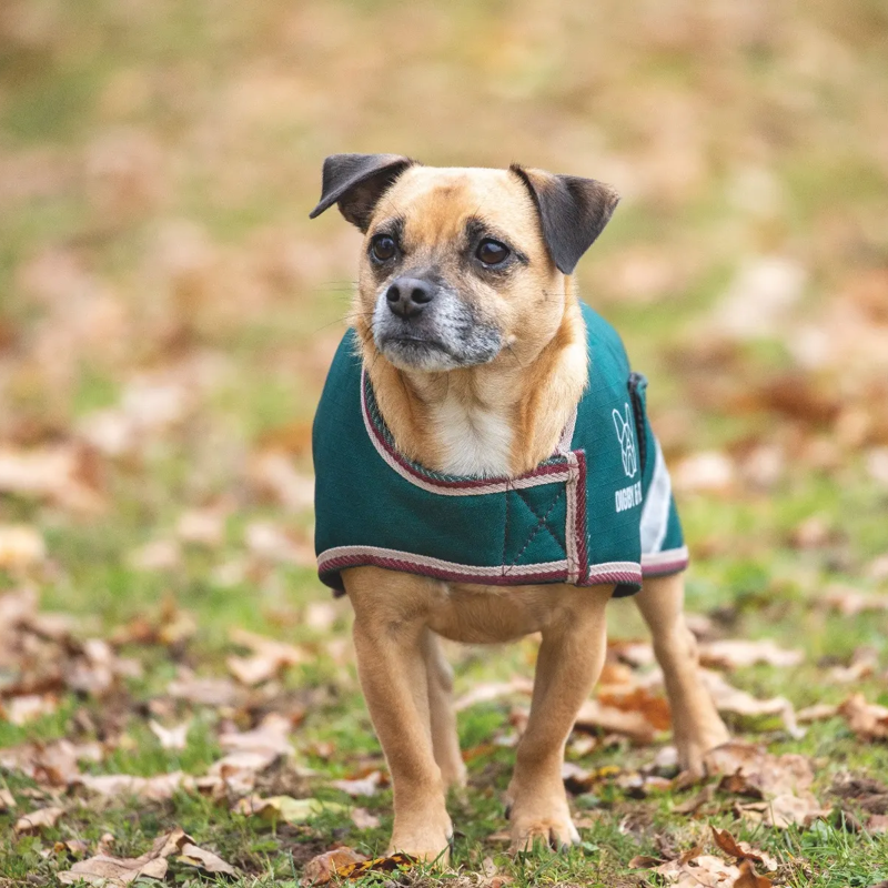 Shires Digby and Fox Waterproof Dog Coat - Forest-1