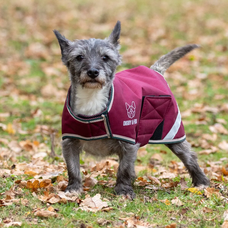 Shires Digby and Fox Waterproof Dog Coat - Burgundy-1