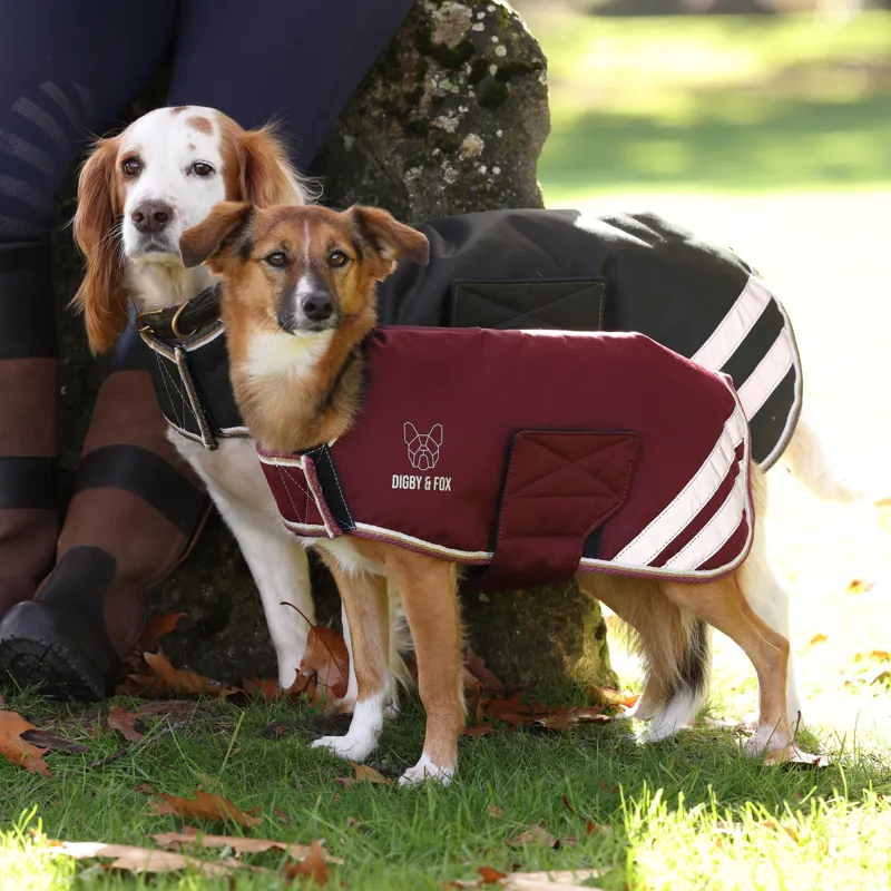 Shires Digby and Fox Waterproof Dog Coat - Maroon-8
