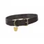 Shires Digby and Fox Flat Leather Dog Collar - Brown